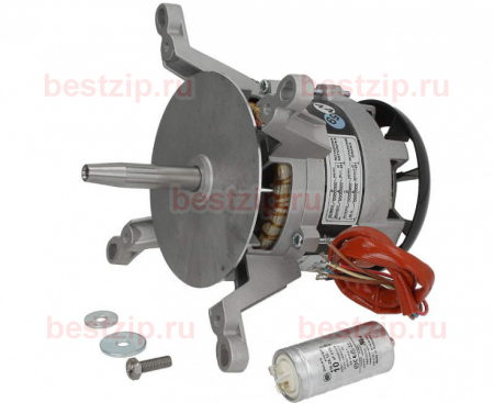 Двигатель ZANOLLI MOTO0034